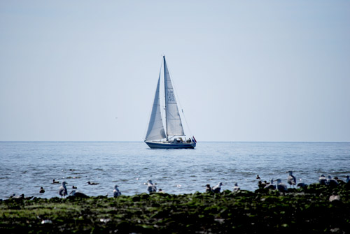 zeilboot